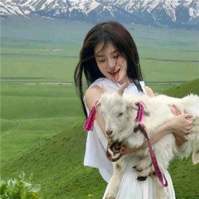 问题少女姑爷仔